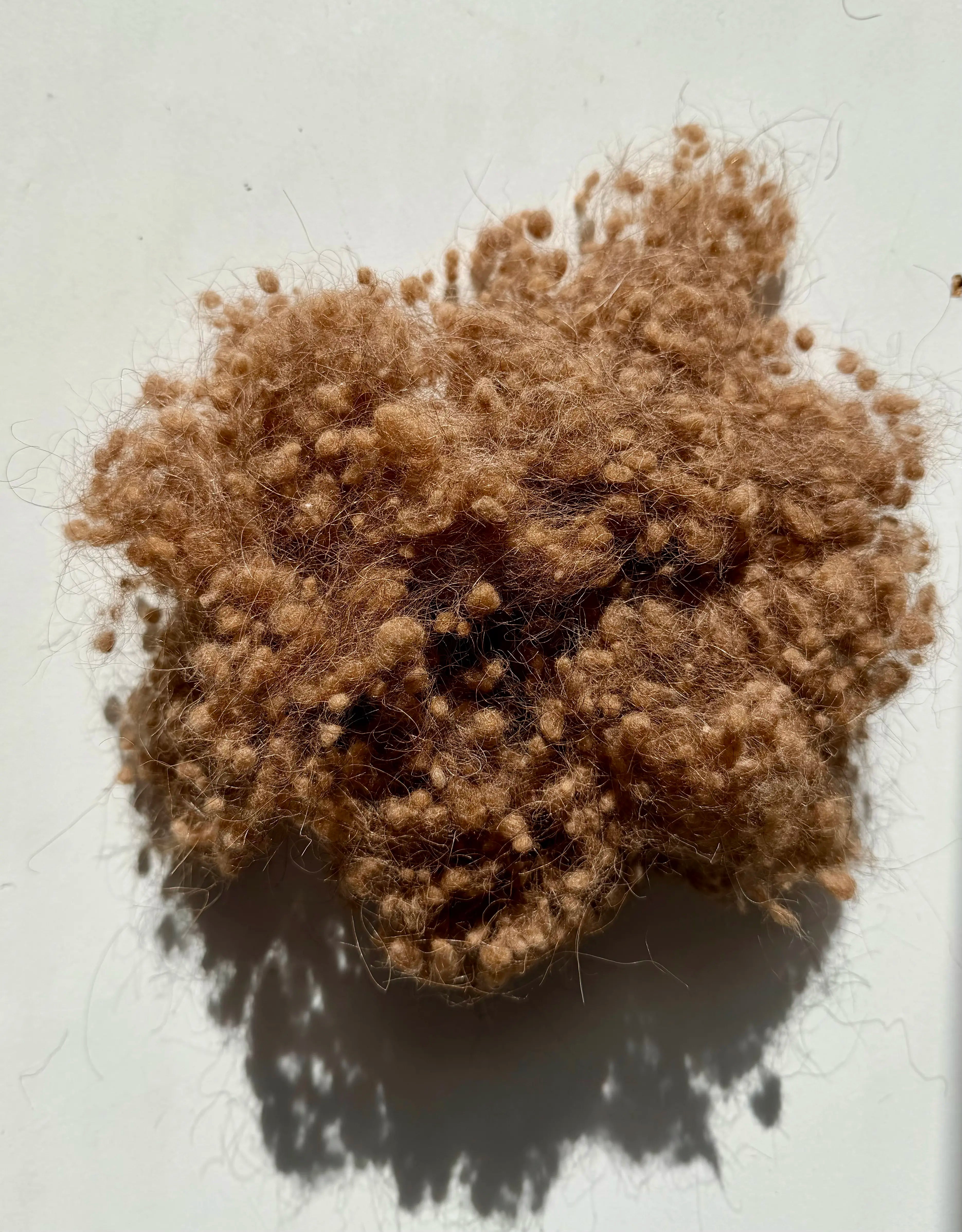 Close up of Woolups camel filling.